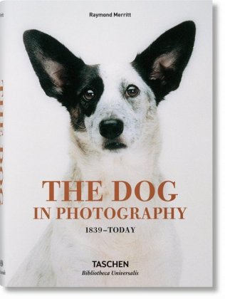 The Dog in Photography 1839-Today