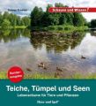 Teiche, Tümpel und Seen