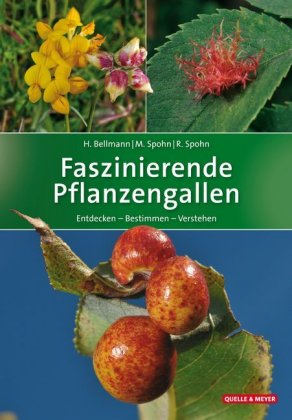 Faszinierende Pflanzengallen