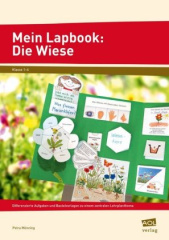 Mein Lapbook: Die Wiese