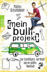 Mein Bulli-Projekt