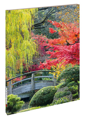 Blankbook Japanese Garden