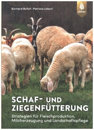 Schaf- und Ziegenfütterung