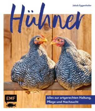 Hühner: Alles zur artgerechten Haltung, Pflege und Nachzucht