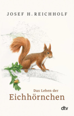 Das Leben der Eichhörnchen