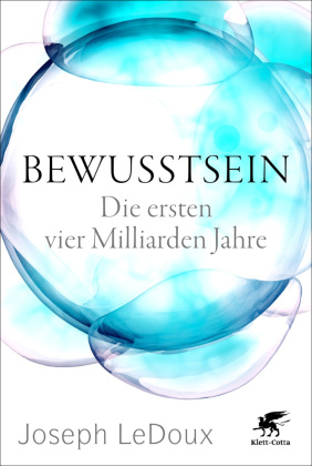 Bewusstsein