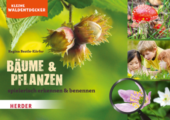 Kleine Waldentdecker: Bäume & Pflanzen