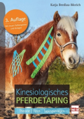 Kinesiologisches Pferdetaping