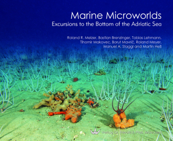 Marine Microworlds