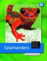 Salamanders