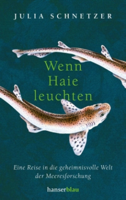 Wenn Haie leuchten