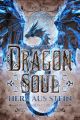 Dragon Soul