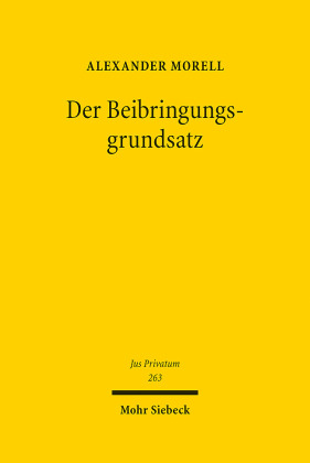 Der Beibringungsgrundsatz