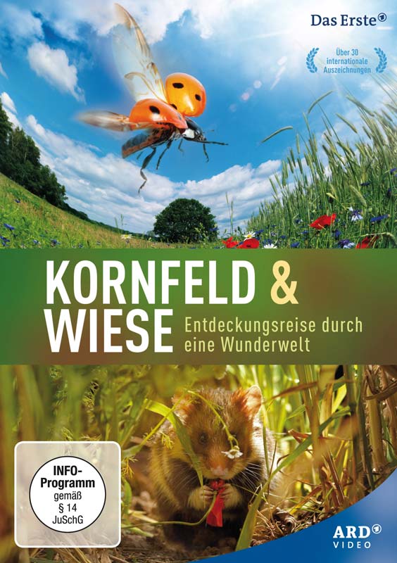 Kornfeld und Wiese - Entdeckungsreise durch eine Wunderwelt