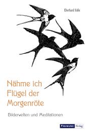 Nähme ich Flügel der Morgenröte