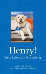 Henry! Mein Leben als Fernsehstar