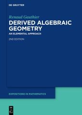 Derived Algebraic Geometry