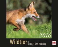Wildtier Impressionen 2016