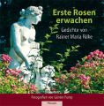 Erste Rosen erwachen