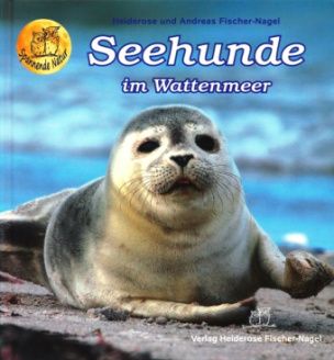 Seehunde im Wattenmeer