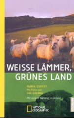 Weiße Lämmer, grünes Land