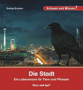 Die Stadt