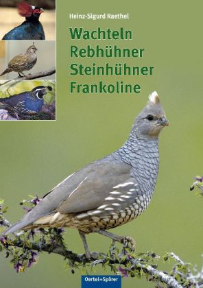 Wachteln, Rebhühner, Frankoline