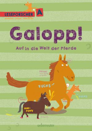 Galopp! Auf in die Welt der Pferde