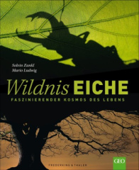 Wildnis Eiche