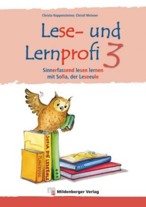 Sinnerfassend lesen lernen mit Sofia, der Leseeule, Klasse 3